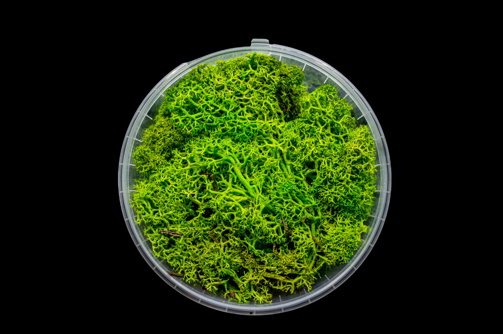 Lush Hedge Basing Material 2