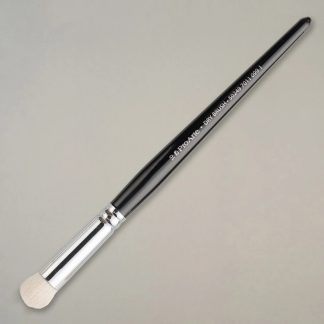 Pro Arte Dry Brush 10 1