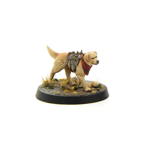 Fallout: Miniatures - Wasteland Survivors Core Set (Plastic) 12