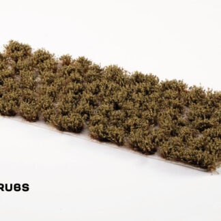 Swamp Shrubs 1