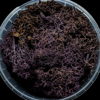 Lilac Hedge Basing Material 1