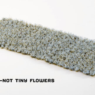 Forget-Me-Not Tiny Flowers 1