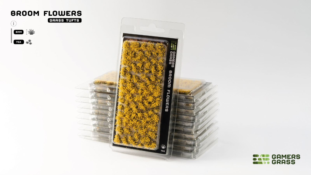 Broom Flowers 2