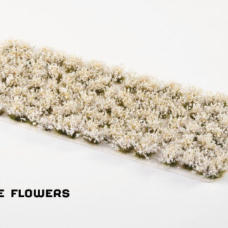 White Rose Flowers 1