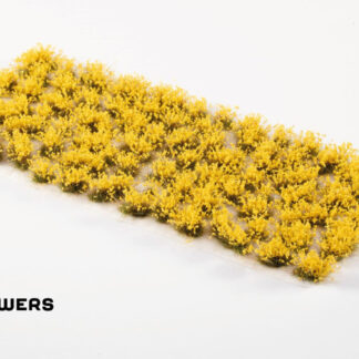 Broom Flowers 1