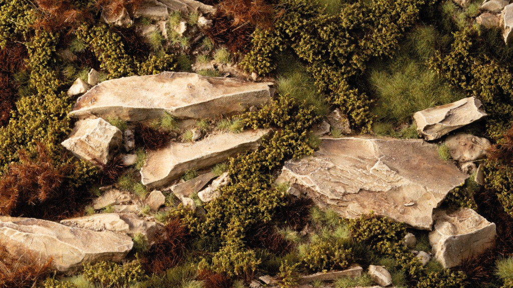 Dry Green Shrubs 3